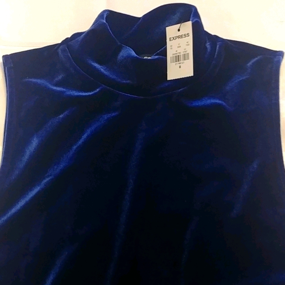 Express Blue Velvet Sleeveless Mock turtleneck - M